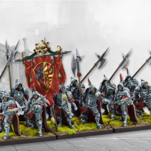 Household Guard (Dual Kit)